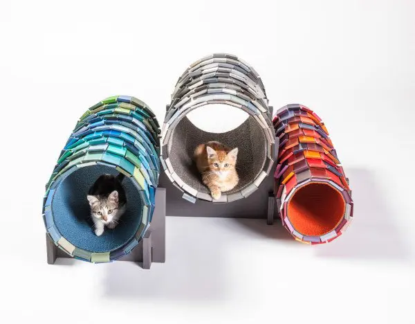 Casinhas e gatos