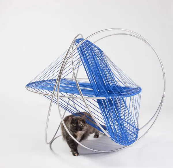 Casinha e gato