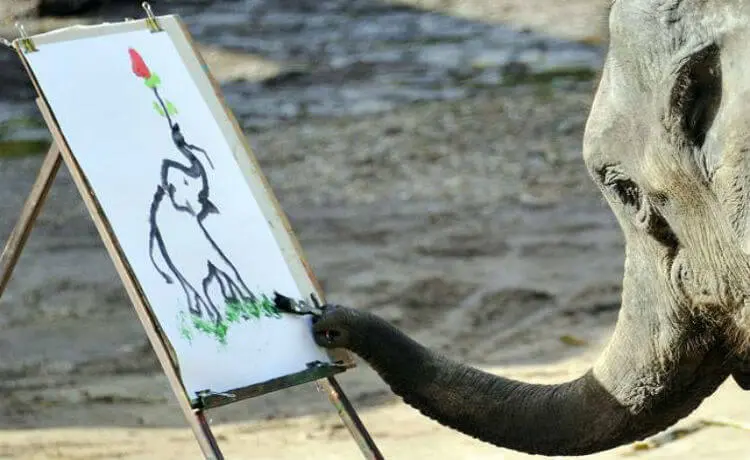 Elefante pintor