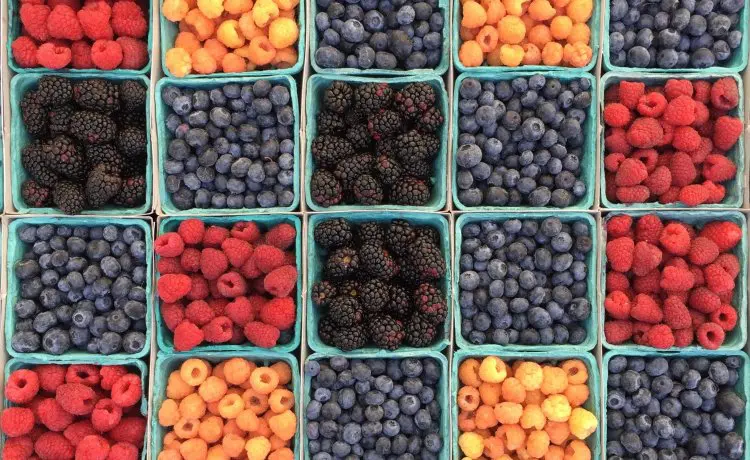 frutas vermelhas, alimentos ricos em antocianinas