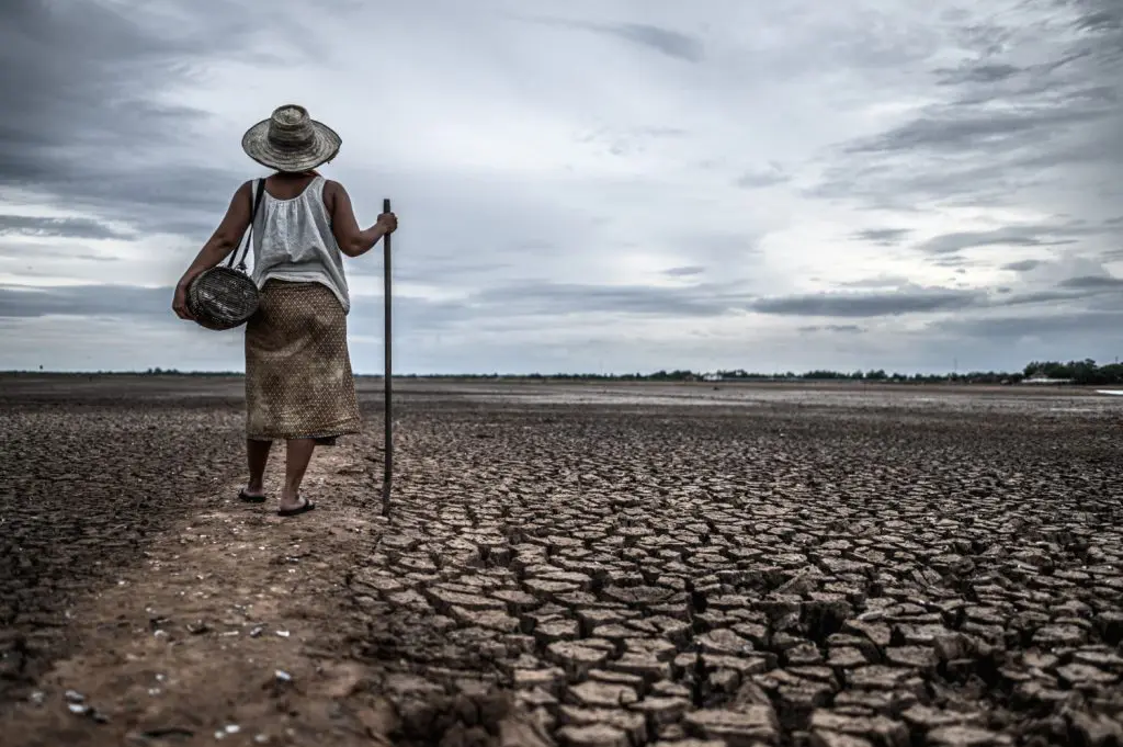 consequências do aquecimento global